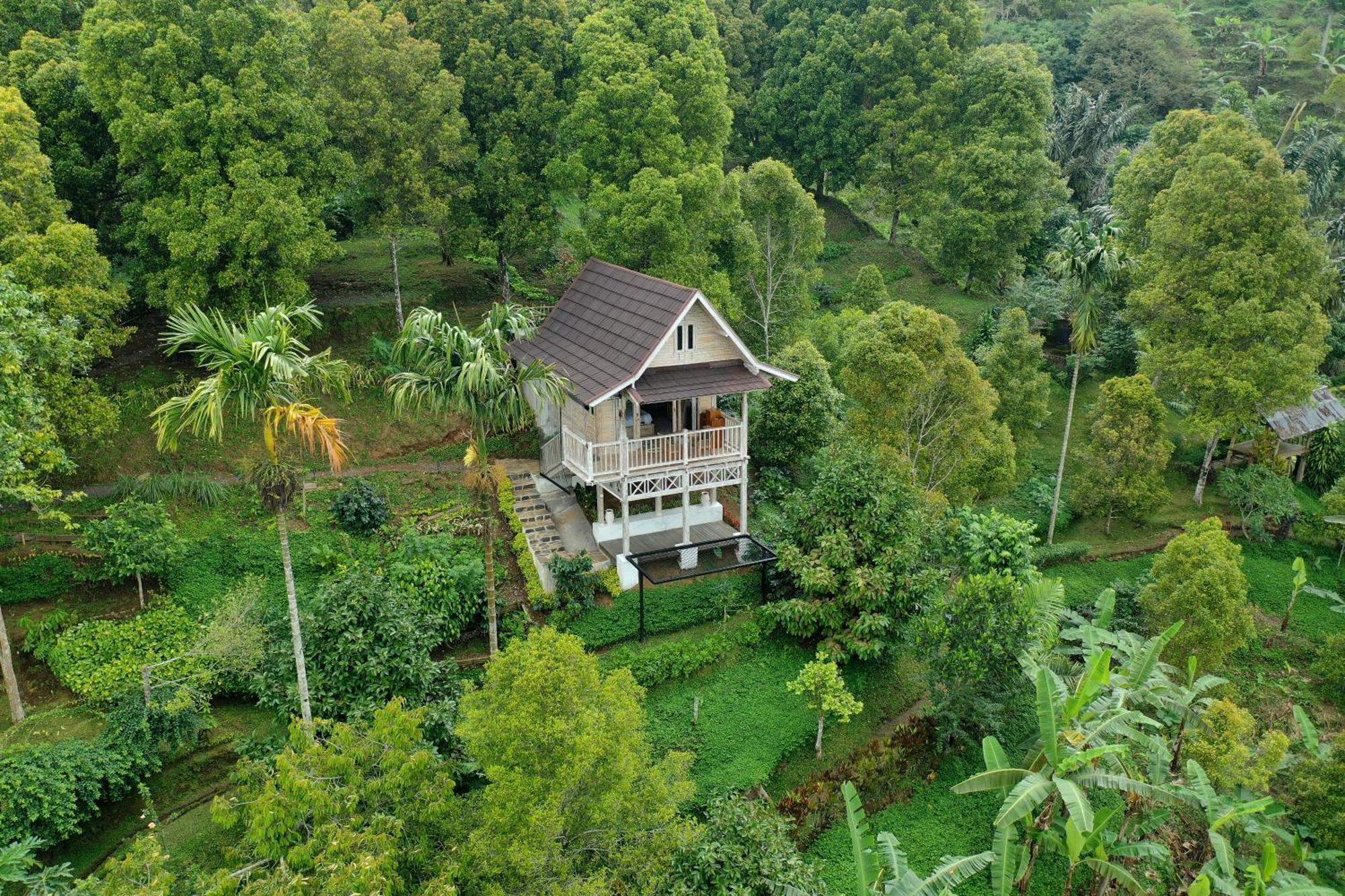 Bed and Breakfast Garden Terrace Bali Gobleg  Esterno foto