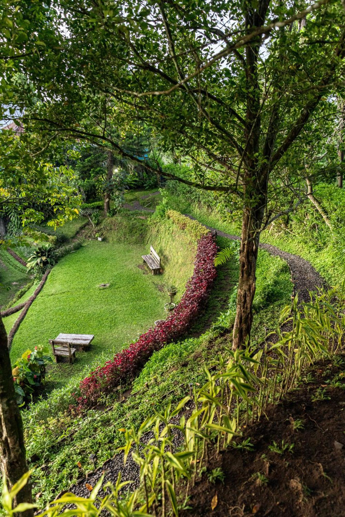 Bed and Breakfast Garden Terrace Bali Gobleg  Esterno foto
