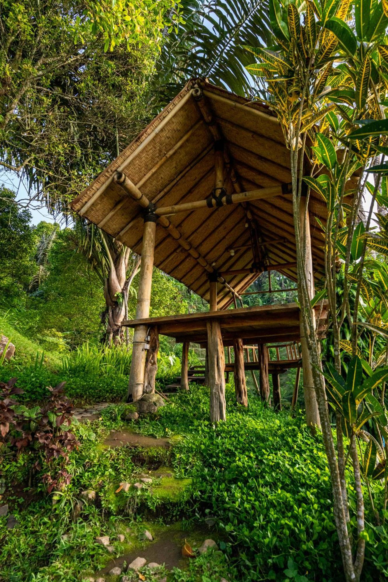 Bed and Breakfast Garden Terrace Bali Gobleg  Esterno foto