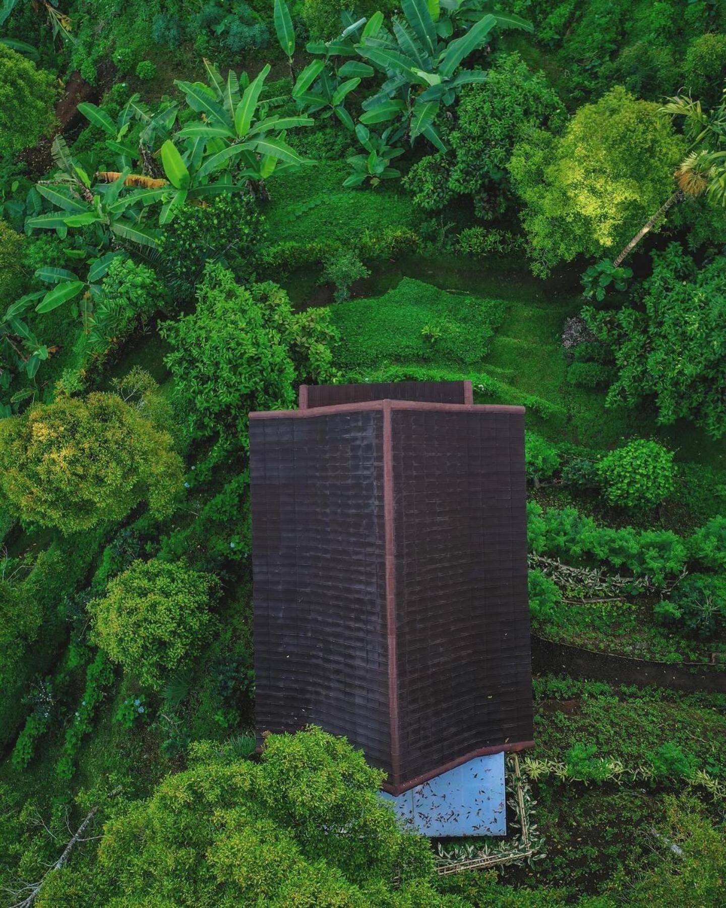 Bed and Breakfast Garden Terrace Bali Gobleg  Esterno foto