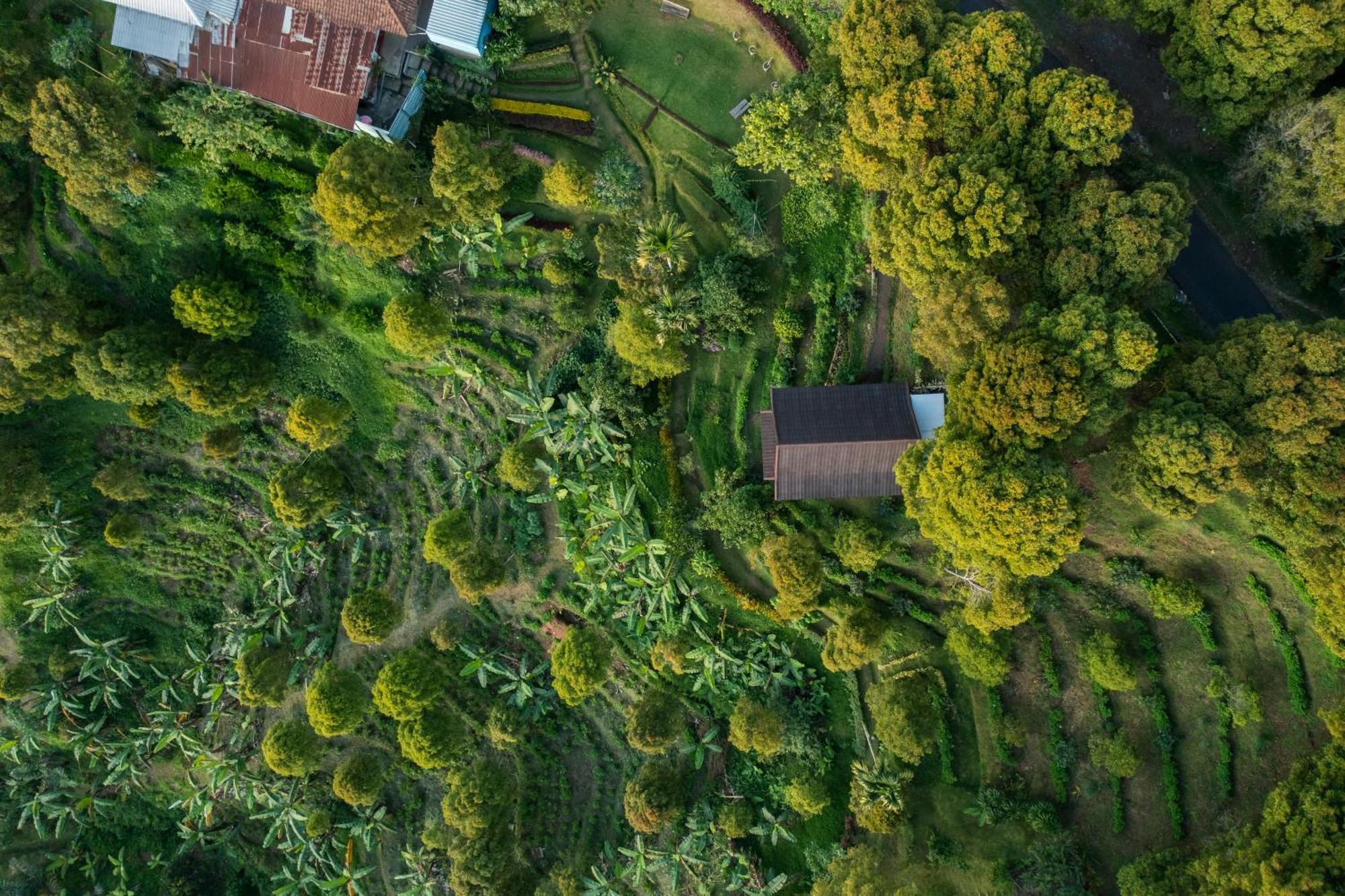 Bed and Breakfast Garden Terrace Bali Gobleg  Esterno foto