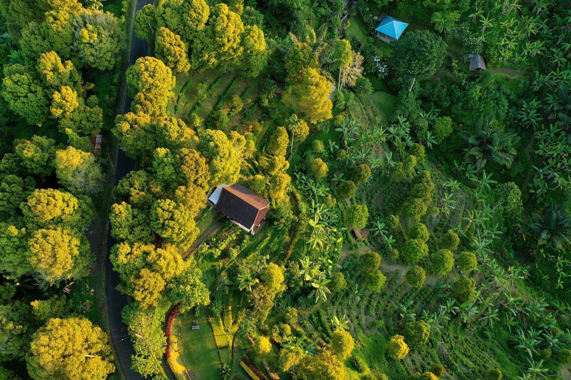 Bed and Breakfast Garden Terrace Bali Gobleg  Esterno foto